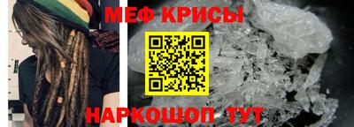 гашик Гатчина