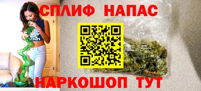 гашик Гатчина