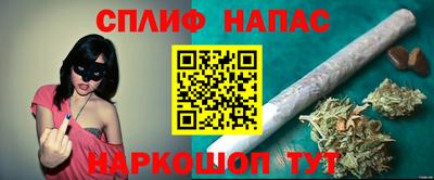 гашик Гагарин
