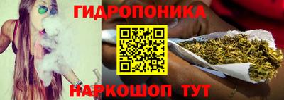 гашик Гагарин