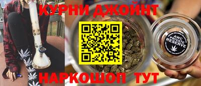гашик Гатчина