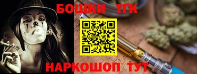 гашик Гатчина