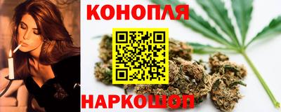 гашик Гатчина