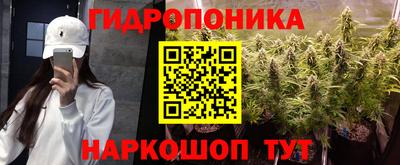 гашик Гатчина