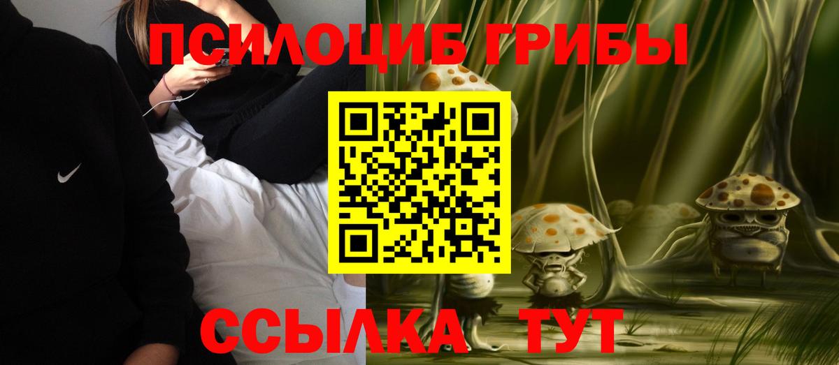 Галлюциногенные грибы MAGIC MUSHROOMS  Галлюциногенные грибы ЛСД  Мытищи  Вход с VPN 